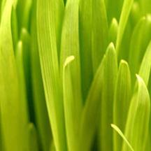 智能且便捷的黑客软件攻击器手机版